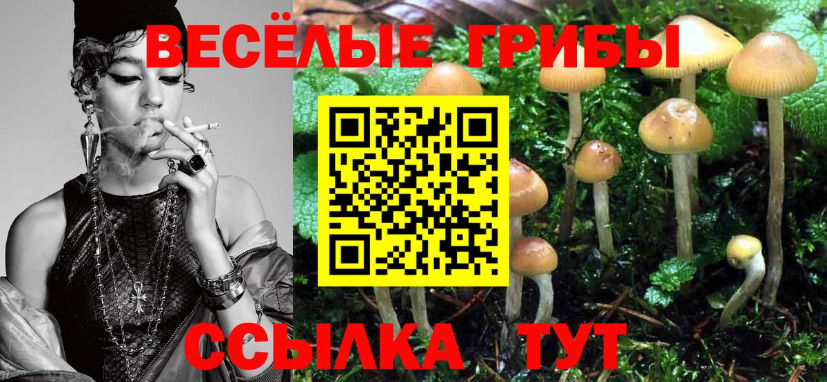 Галлюциногенные грибы GOLDEN TEACHER Северск