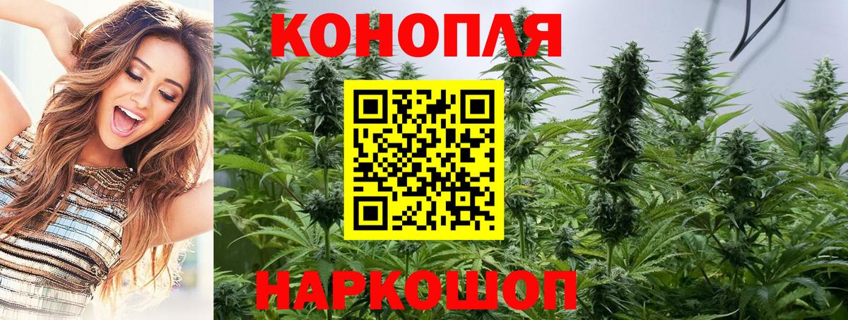 Северск  Конопля марихуана  Бошки Шишки семена  Канабис AK-47  Вход с VPN  Конопля марихуана 